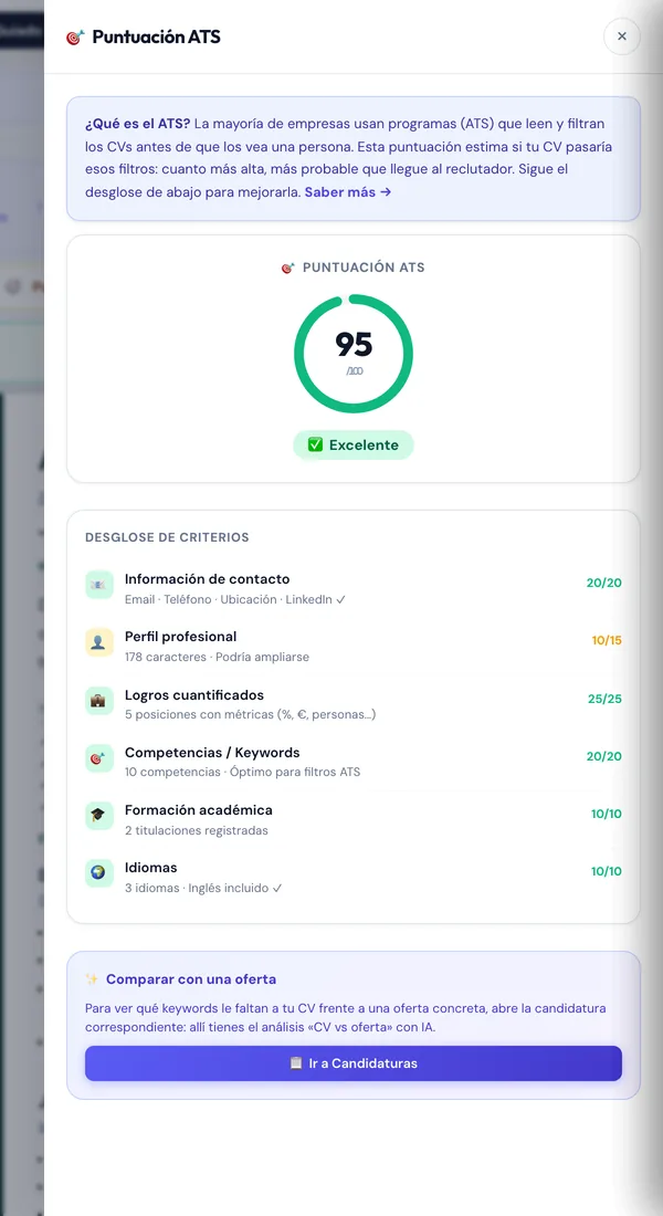 The score panel: 95 out of 100 and the breakdown of the six criteria, with “Professional profile” below its maximum.